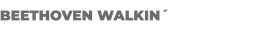 BEETHOVEN WALKIN´